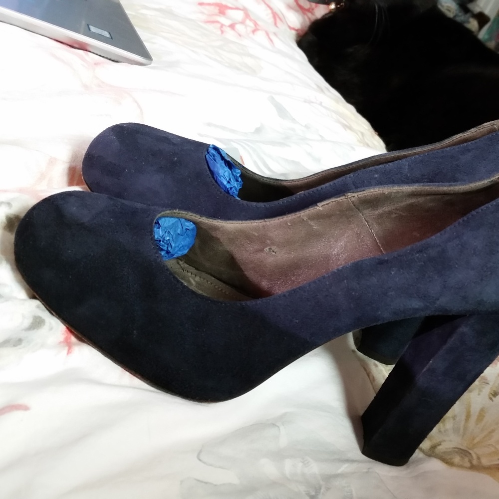 Joie Pumps Blue